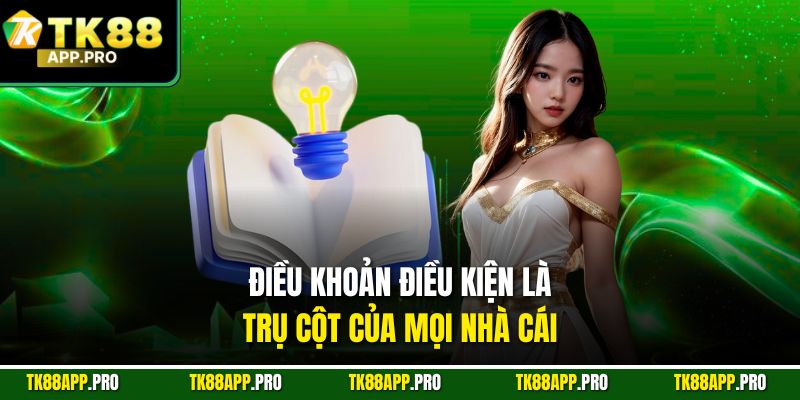 Điều khoản điều kiện là trụ cột của mọi nhà cái