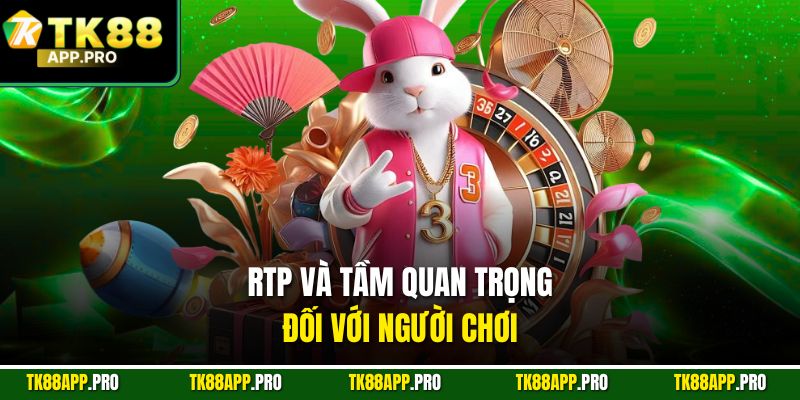 RTP và tầm quan trọng đối với người chơi